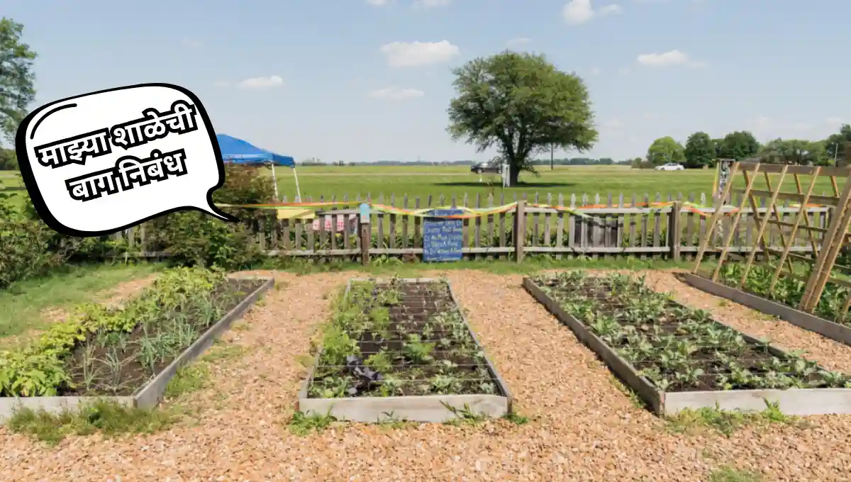 My School Garden Essay in Marathi: माझ्या शाळेची बाग निबंध मराठी